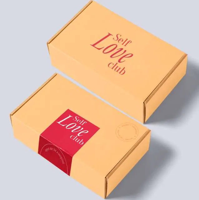 Corrugated Packaging Boxes Manufacturer from Greater Noida